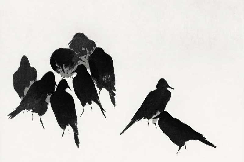 Más allá del obstáculo